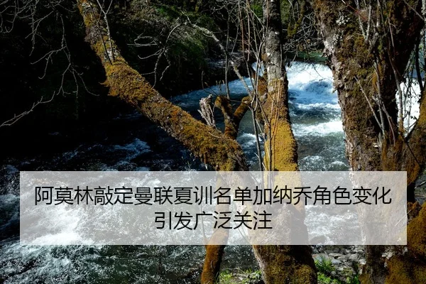 阿莫林敲定曼联夏训名单加纳乔角色变化引发广泛关注