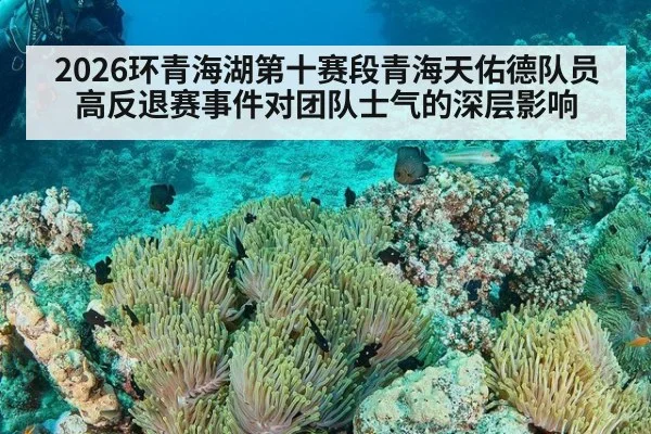 2026环青海湖第十赛段青海天佑德队员高反退赛事件对团队士气的深层影响
