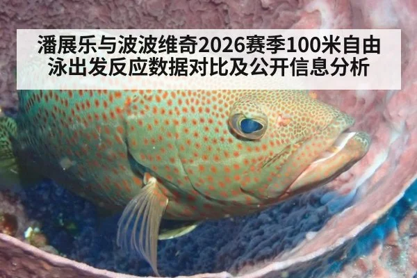 潘展乐与波波维奇2026赛季100米自由泳出发反应数据对比及公开信息分析